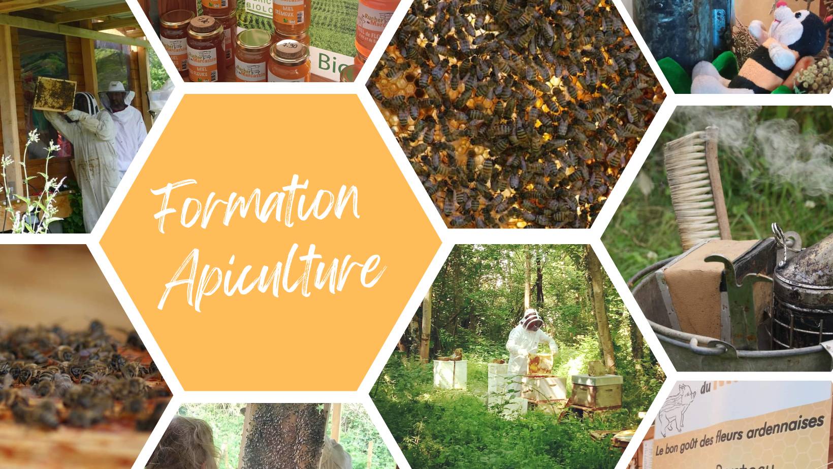 Formation Apiculture 2026